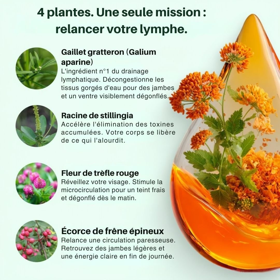 Lymphya Élixir — Drainage Lymphatique Naturel
