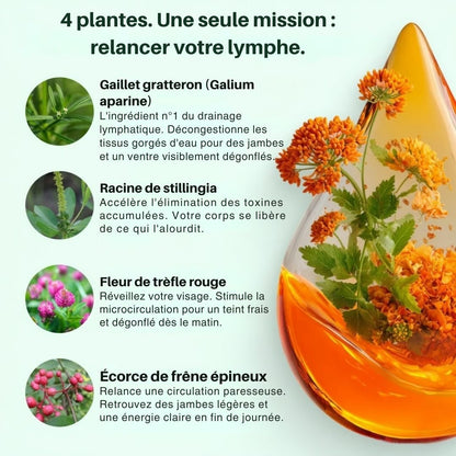 Lymphya Élixir — Drainage Lymphatique Naturel